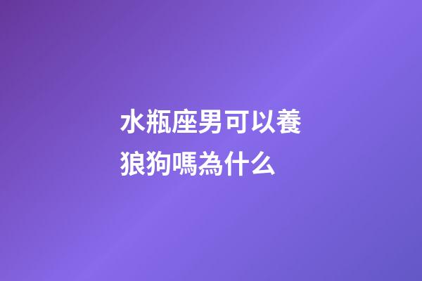 水瓶座男可以養狼狗嗎為什么-第1張-星座運勢-玄機派