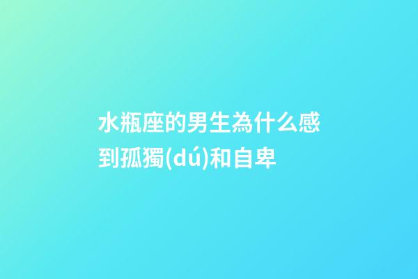 水瓶座的男生為什么感到孤獨(dú)和自卑-第1張-星座運(yùn)勢-玄機(jī)派