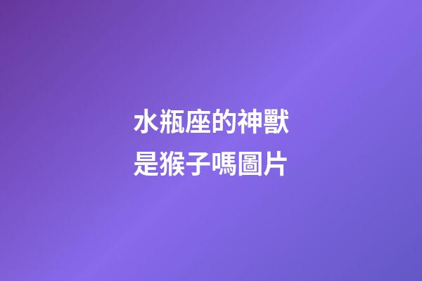 水瓶座的神獸是猴子嗎圖片-第1張-星座運(yùn)勢(shì)-玄機(jī)派