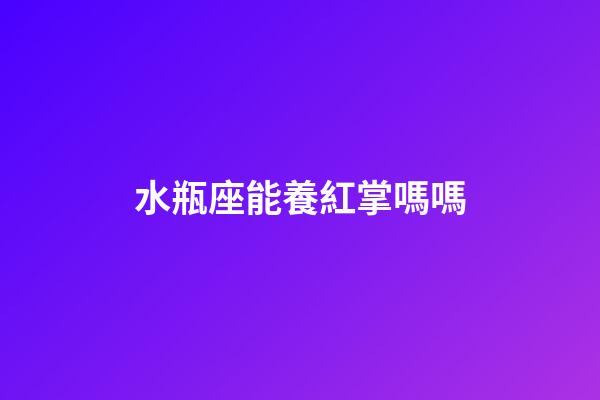 水瓶座能養紅掌嗎嗎-第1張-星座運勢-玄機派
