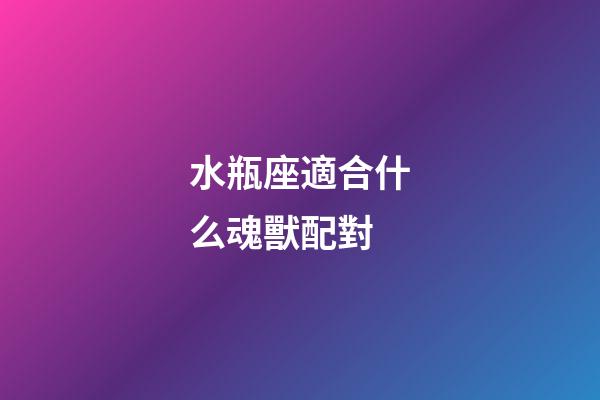 水瓶座適合什么魂獸配對-第1張-星座運(yùn)勢-玄機(jī)派