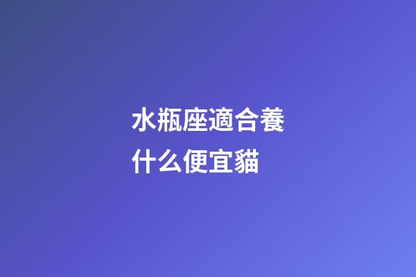 水瓶座適合養什么便宜貓-第1張-星座運勢-玄機派