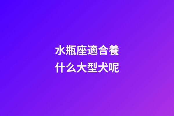 水瓶座適合養什么大型犬呢-第1張-星座運勢-玄機派