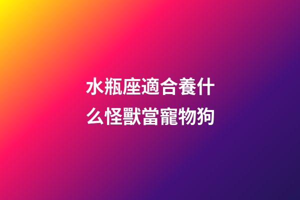 水瓶座適合養什么怪獸當寵物狗-第1張-星座運勢-玄機派
