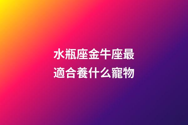 水瓶座金牛座最適合養什么寵物-第1張-星座運勢-玄機派