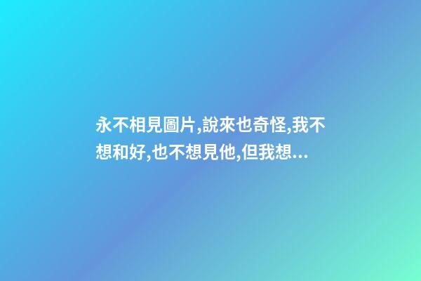永不相見圖片,說來也奇怪,我不想和好,也不想見他,但我想他!-第1張-觀點-玄機派