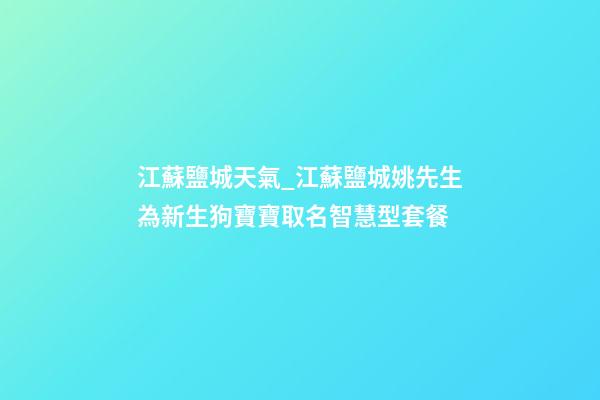 江蘇鹽城天氣_江蘇鹽城姚先生為新生狗寶寶取名智慧型套餐-第1張-公司起名-玄機派