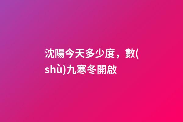 沈陽今天多少度，數(shù)九寒冬開啟-第1張-觀點(diǎn)-玄機(jī)派
