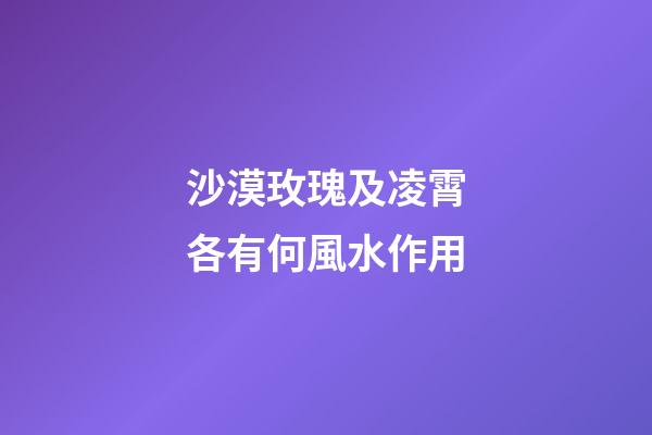 沙漠玫瑰及凌霄各有何風水作用?
