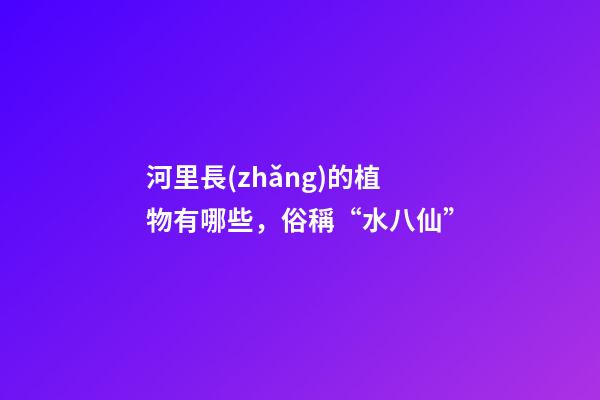 河里長(zhǎng)的植物有哪些，俗稱“水八仙”-第1張-觀點(diǎn)-玄機(jī)派
