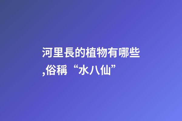 河里長的植物有哪些,俗稱“水八仙”-第1張-觀點-玄機派