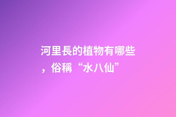 河里長的植物有哪些，俗稱“水八仙”-第1張-觀點-玄機派