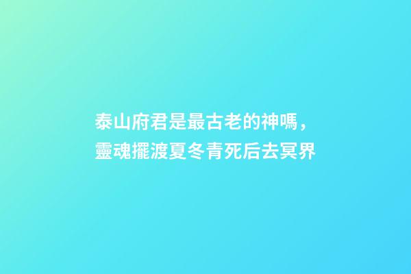泰山府君是最古老的神嗎，靈魂擺渡夏冬青死后去冥界-第1張-觀點-玄機派