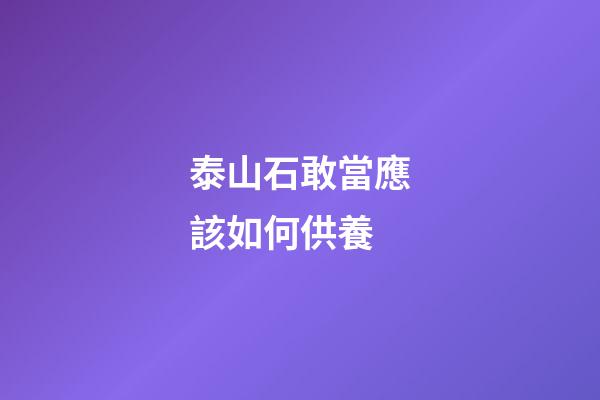 泰山石敢當應該如何供養?