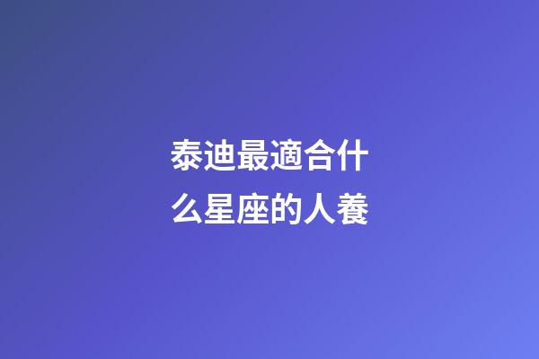 泰迪最適合什么星座的人養-第1張-星座運勢-玄機派