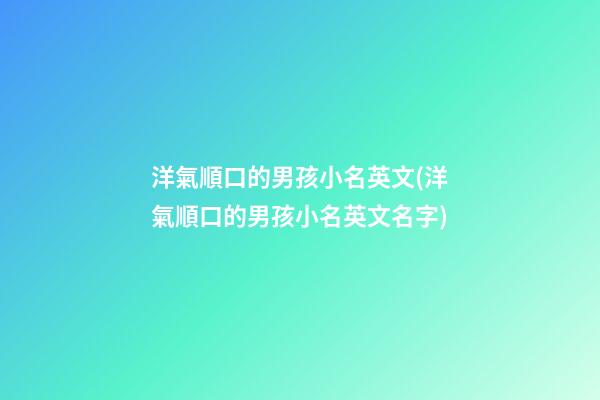 洋氣順口的男孩小名英文(洋氣順口的男孩小名英文名字)