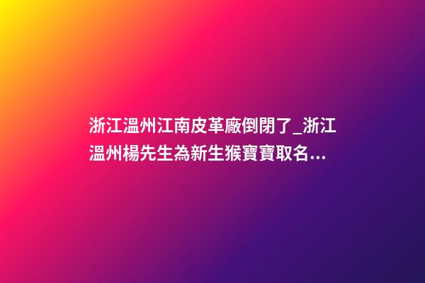 浙江溫州江南皮革廠倒閉了_浙江溫州楊先生為新生猴寶寶取名財(cái)富型套餐-第1張-公司起名-玄機(jī)派