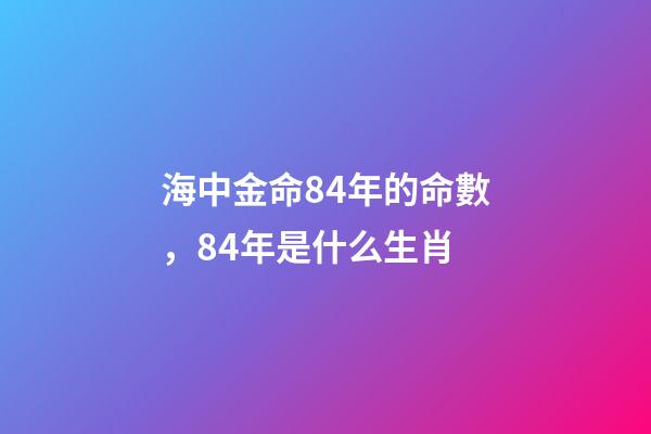 海中金命84年的命數，84年是什么生肖