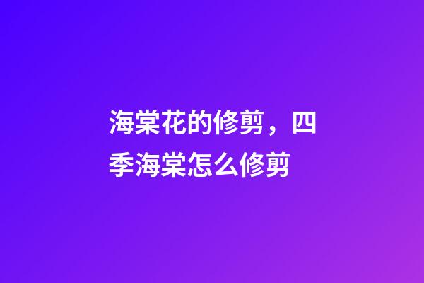 海棠花的修剪，四季海棠怎么修剪-第1張-觀點-玄機派