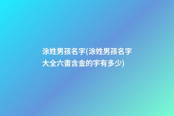 涂姓男孩名字(涂姓男孩名字大全六畫含金的字有多少)