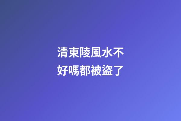 清東陵風水不好嗎都被盜了