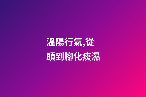 溫陽行氣,從頭到腳化痰濕-第1張-觀點-玄機派