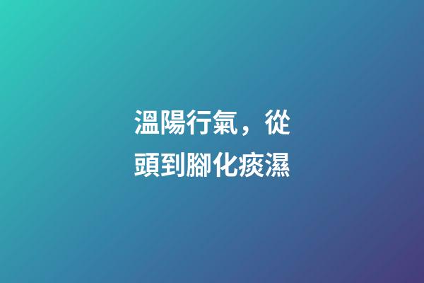 溫陽行氣，從頭到腳化痰濕-第1張-觀點-玄機派
