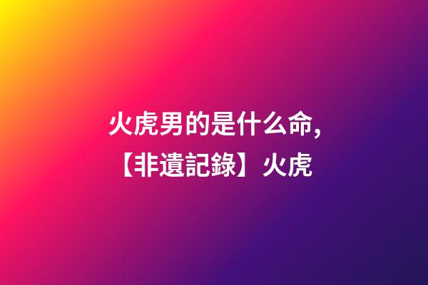 火虎男的是什么命,【非遺記錄】火虎-第1張-觀點(diǎn)-玄機(jī)派