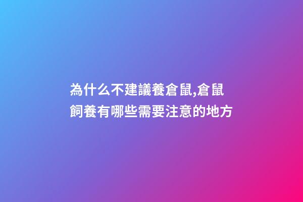 為什么不建議養倉鼠,倉鼠飼養有哪些需要注意的地方-第1張-觀點-玄機派