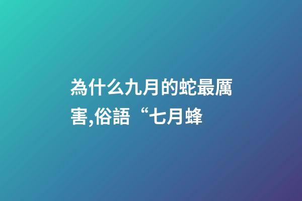 為什么九月的蛇最厲害,俗語“七月蜂-第1張-觀點-玄機派