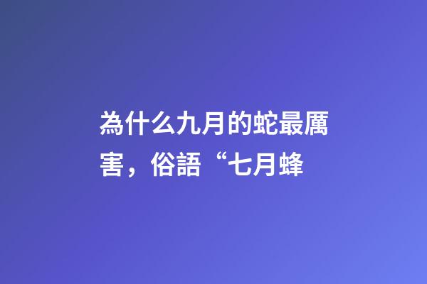 為什么九月的蛇最厲害，俗語“七月蜂-第1張-觀點-玄機派