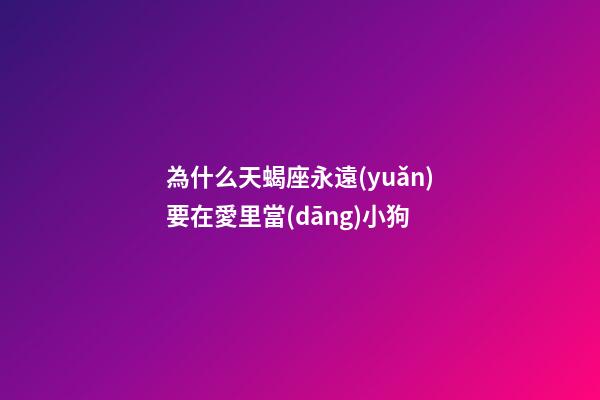 為什么天蝎座永遠(yuǎn)要在愛里當(dāng)小狗-第1張-星座運(yùn)勢-玄機(jī)派