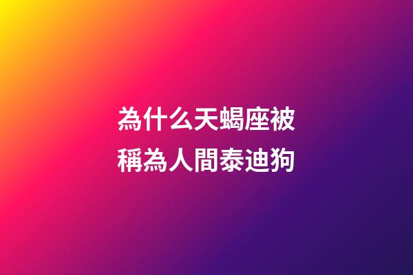 為什么天蝎座被稱為人間泰迪狗-第1張-星座運(yùn)勢-玄機(jī)派