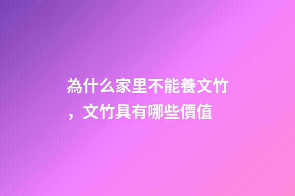 為什么家里不能養文竹，文竹具有哪些價值