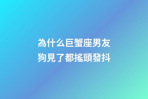 為什么巨蟹座男友狗見了都搖頭發抖-第1張-星座運勢-玄機派