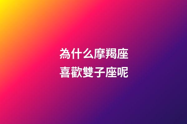 為什么摩羯座喜歡雙子座呢-第1張-星座運勢-玄機派