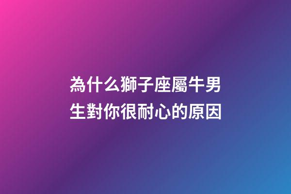 為什么獅子座屬牛男生對你很耐心的原因-第1張-星座運勢-玄機派