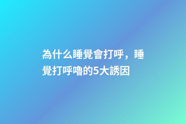 為什么睡覺會打呼，睡覺打呼嚕的5大誘因-第1張-觀點-玄機派
