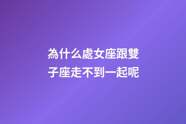 為什么處女座跟雙子座走不到一起呢-第1張-星座運勢-玄機派