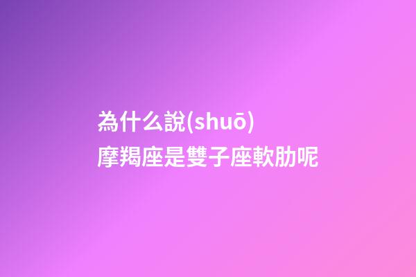 為什么說(shuō)摩羯座是雙子座軟肋呢-第1張-星座運(yùn)勢(shì)-玄機(jī)派