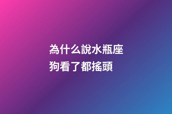 為什么說水瓶座狗看了都搖頭-第1張-星座運(yùn)勢(shì)-玄機(jī)派