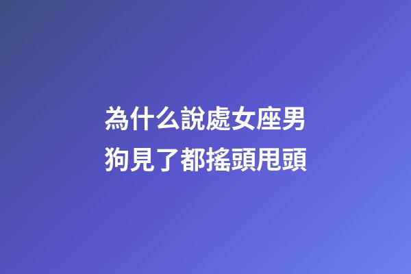 為什么說處女座男狗見了都搖頭甩頭-第1張-星座運勢-玄機派