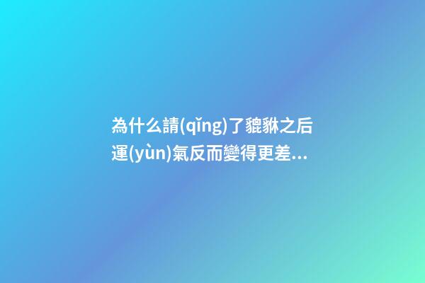 為什么請(qǐng)了貔貅之后運(yùn)氣反而變得更差了？供奉貔貅要注意什么？