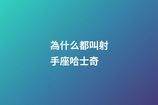 為什么都叫射手座哈士奇-第1張-星座運(yùn)勢-玄機(jī)派