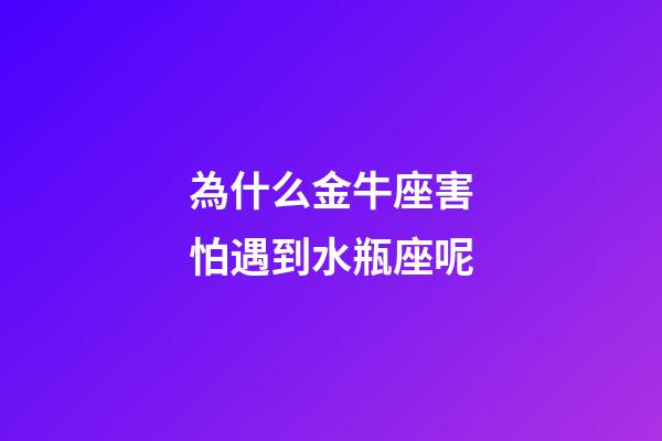 為什么金牛座害怕遇到水瓶座呢-第1張-星座運勢-玄機派