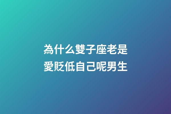 為什么雙子座老是愛貶低自己呢男生-第1張-星座運勢-玄機派