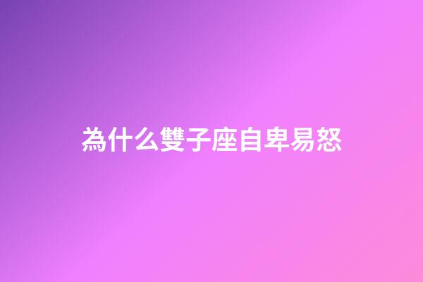 為什么雙子座自卑易怒-第1張-星座運(yùn)勢-玄機(jī)派