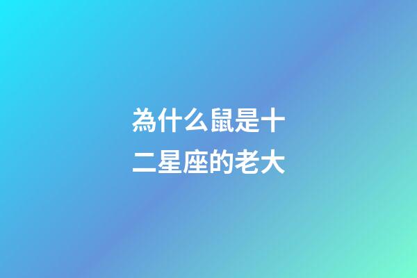 為什么鼠是十二星座的老大-第1張-星座運勢-玄機派