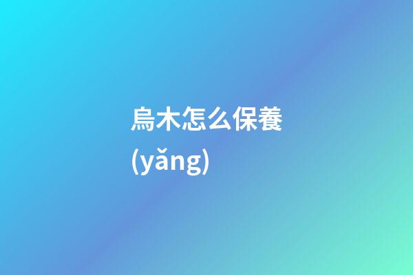 烏木怎么保養(yǎng)