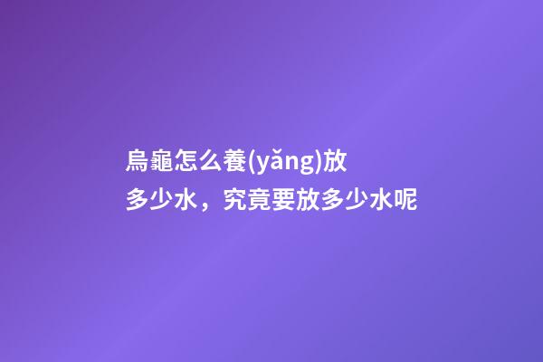 烏龜怎么養(yǎng)放多少水，究竟要放多少水呢